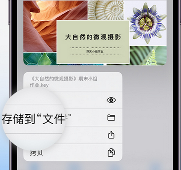 夏津apple维修中心分享iPhone文件应用中存储和找到下载文件