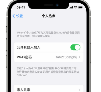 夏津apple服务站点分享iPhone上个人热点丢失了怎么办