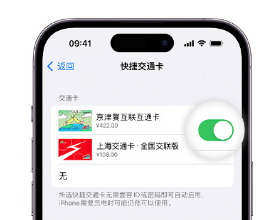 夏津apple维修点分享iPhone上更换Apple Pay快捷交通卡手绘卡面 