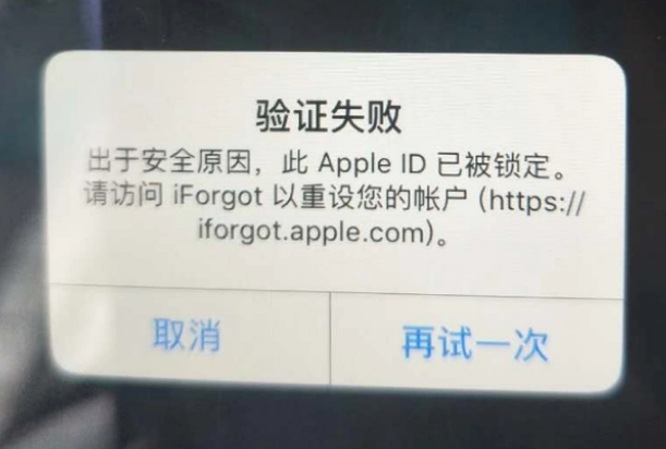 夏津iPhone维修分享iPhone上正常登录或使用AppleID怎么办 