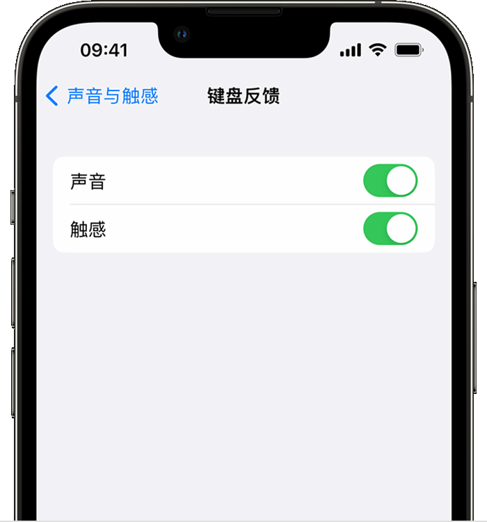 夏津苹果14维修店分享如何在 iPhone 14 机型中使用触感键盘 