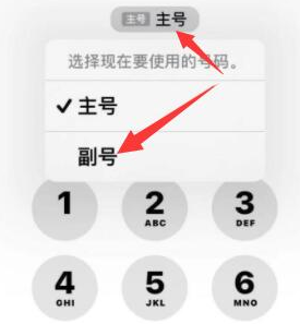 夏津苹果14维修店分享iPhone 14 Pro Max使用副卡打电话的方法 