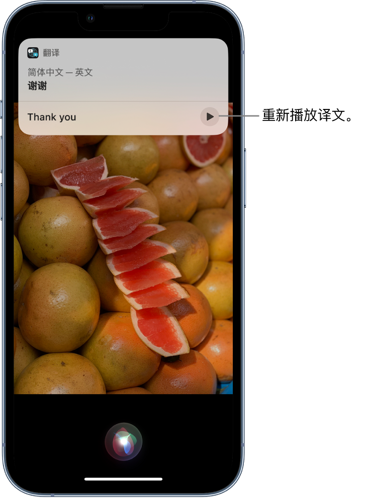 夏津苹果14维修分享 iPhone 14 机型中使用 Siri：了解 Siri 能帮你做什么 