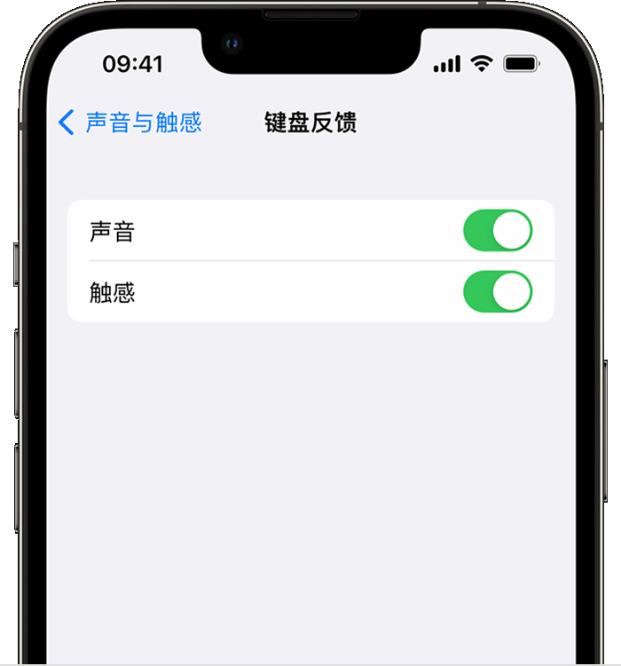 夏津苹果14维修分享iPhone 14 系列机型如何开启键盘声音或触感反馈 