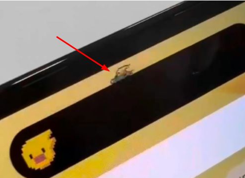 夏津苹果14维修分享iPhone 14 Pro Max灵动岛怎么养宠物 