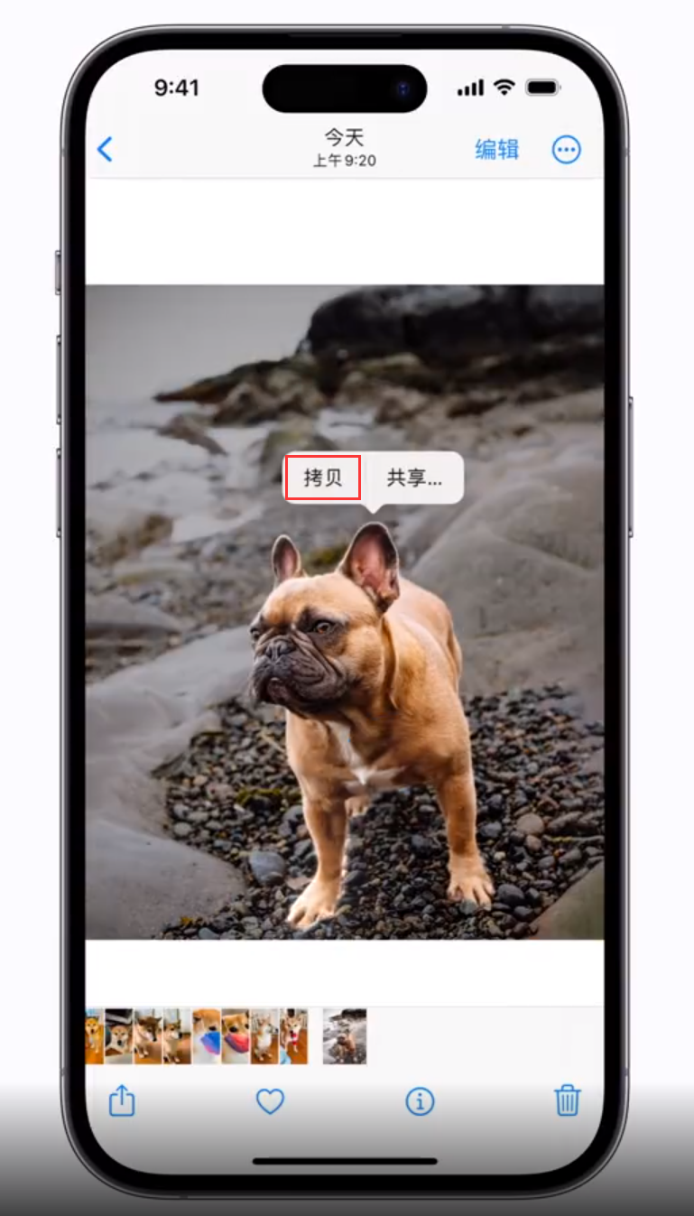夏津苹果手机维修分享 iOS 16 自带一键抠图功能 