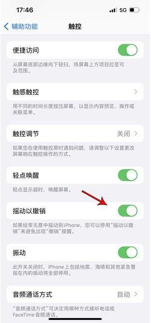 夏津苹果手机维修分享iPhone手机如何设置摇一摇删除文字 