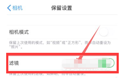 夏津苹果13维修分享iPhone13拍照有绿点是怎么回事 