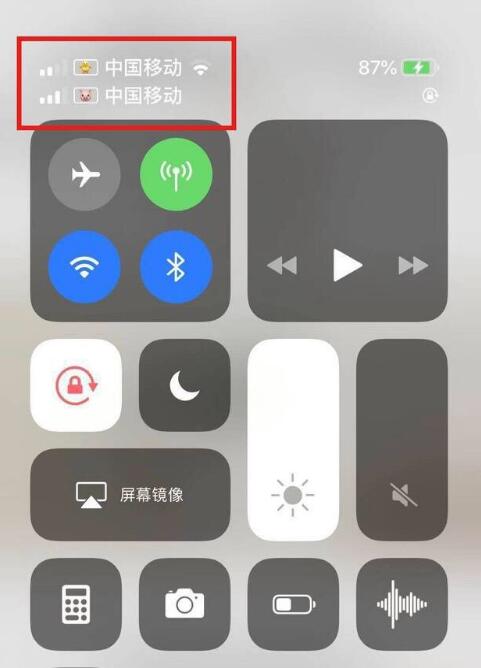 夏津苹果手机维修分享为 iPhone 12 双卡设置标签 