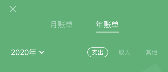 夏津苹果手机维修分享如何在 iPhone 上查看支付宝和微信年支出账单 